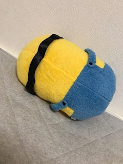 本日も出勤になります